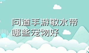 问道手游敏水带哪些宠物好（问道手游法水带什么宠物合适）