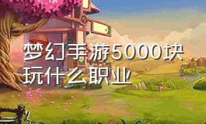 梦幻手游5000块玩什么职业