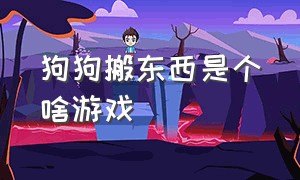 狗狗搬东西是个啥游戏（狗狗上楼梯游戏在哪里玩）