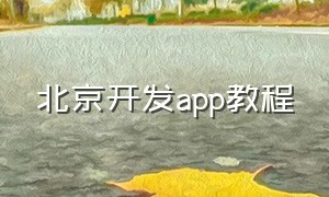 北京开发app教程