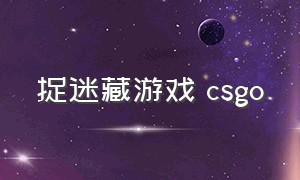 捉迷藏游戏 csgo（csgo捉迷藏名字叫啥）