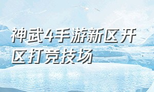 神武4手游新区开区打竞技场