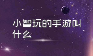 小智玩的手游叫什么