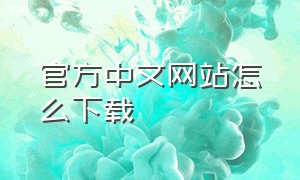 官方中文网站怎么下载