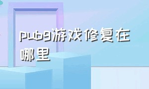 pubg游戏修复在哪里