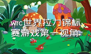 wrc世界拉力锦标赛游戏第一视角