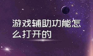 游戏辅助功能怎么打开的