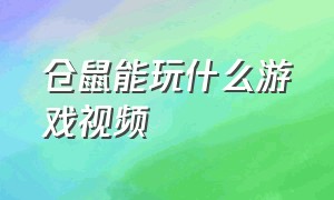 仓鼠能玩什么游戏视频