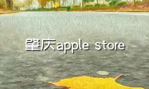 肇庆apple store（贵阳applestore在哪里）