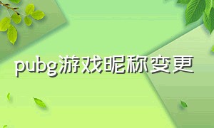 pubg游戏昵称变更（pubg游戏昵称怎么在手机查看）