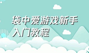 袋中爱游戏新手入门教程