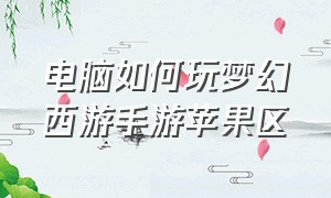 电脑如何玩梦幻西游手游苹果区（梦幻手游苹果系统怎么在电脑玩）