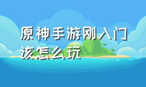 原神手游刚入门该怎么玩