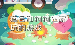 适合和狗狗在家玩的游戏