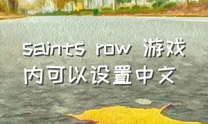 saints row 游戏内可以设置中文