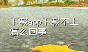 下载app下载不上怎么回事