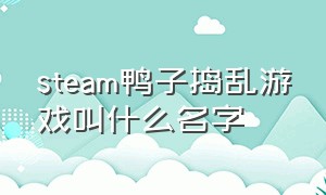 steam鸭子捣乱游戏叫什么名字