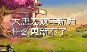 大唐无双手游为什么更新不了（大唐无双手游为啥没人玩了）