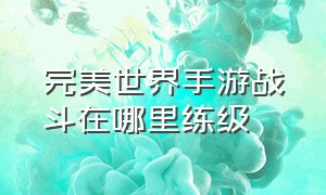 完美世界手游战斗在哪里练级（完美世界手游升级任务顺序攻略）