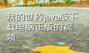 我的世界java版下载电脑正版的视频