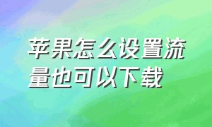 苹果怎么设置流量也可以下载