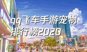 qq飞车手游宠物排行榜2020