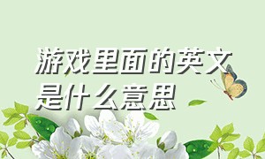 游戏里面的英文是什么意思