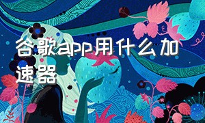 谷歌app用什么加速器（手机版chrome用什么加速器）