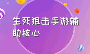 生死狙击手游辅助核心