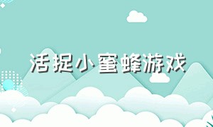 活捉小蜜蜂游戏（抓小蜜蜂的游戏玩法）