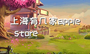 上海有几家Apple Store