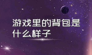 游戏里的背包是什么样子