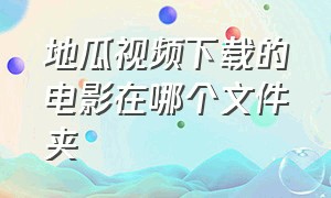 地瓜视频下载的电影在哪个文件夹