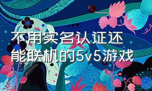 不用实名认证还能联机的5v5游戏