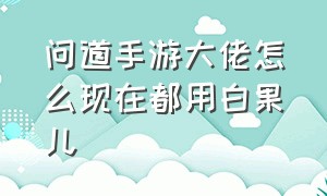 问道手游大佬怎么现在都用白果儿（问道手游白果儿值不值得培养）