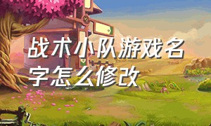 战术小队游戏名字怎么修改