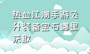 热血江湖手游飞升装备宝石哪里获取（热血江湖手游60级装备获取）