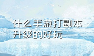 什么手游打副本升级的好玩（什么手游打副本升级的好玩点）