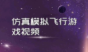 仿真模拟飞行游戏视频