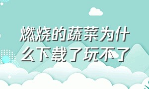 燃烧的蔬菜为什么下载了玩不了（燃烧的蔬菜官方正版下载）