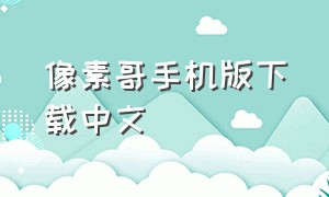 像素哥手机版下载中文