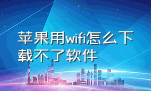 苹果用wifi怎么下载不了软件