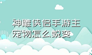 神雕侠侣手游主宠物怎么蜕变