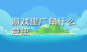 游戏里广角什么意思