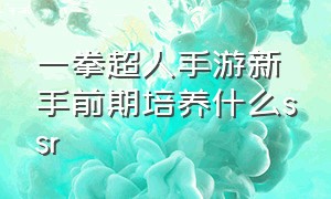 一拳超人手游新手前期培养什么ssr