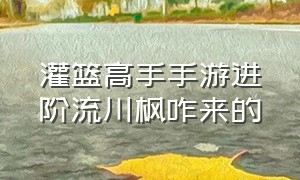 灌篮高手手游进阶流川枫咋来的