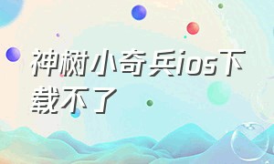 神树小奇兵ios下载不了