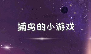 捕鸟的小游戏