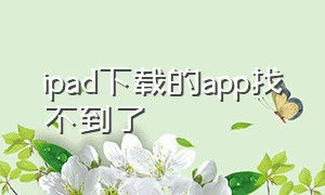 ipad下载的app找不到了