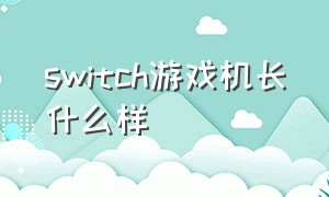 switch游戏机长什么样